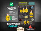 (1.0) CANVA 100% Editable Template - Catalog - Newsletter - A2 Poster - Promotional Flyer